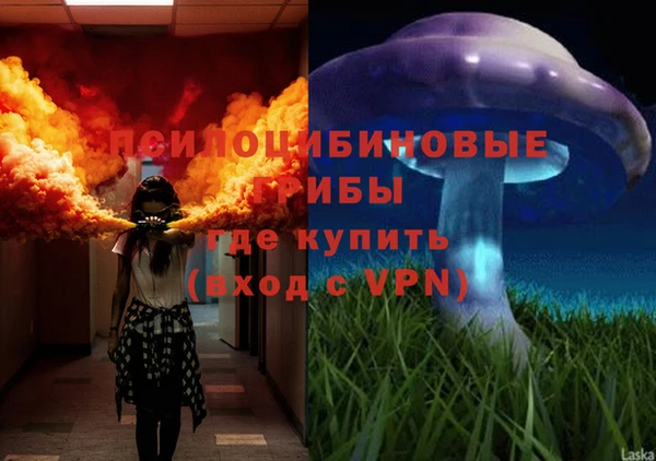 бутират Белокуриха
