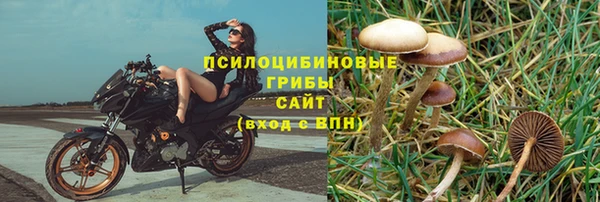 бутират Белокуриха