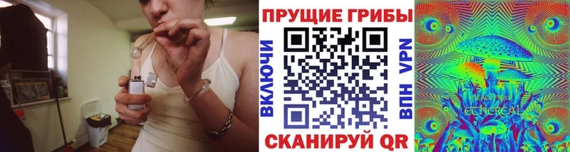 купить наркотик  Рудня  blacksprut как войти  Псилоцибиновые грибы мицелий 